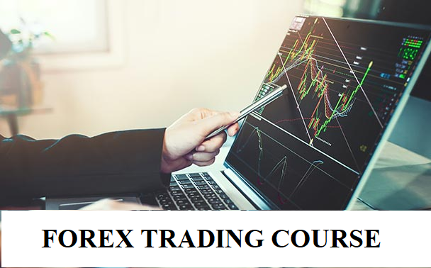 Forex Trading Course (Beginner-Advanced)